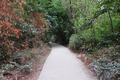 Trail begins with compacted gravel surface without edge protection